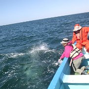 IMG 0001 2 (318)